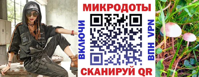 это как зайти  Торжок  Псилоцибиновые грибы GOLDEN TEACHER 